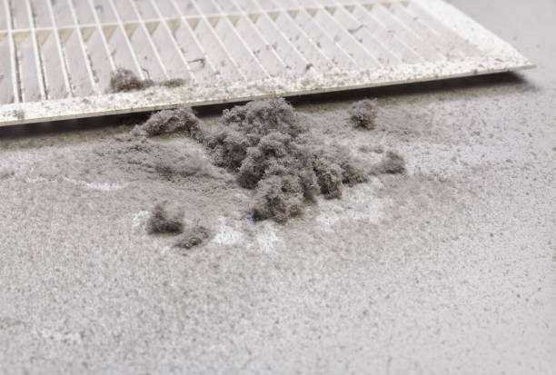 Best Air Duct Cleaning Near Me  in Milton, DE