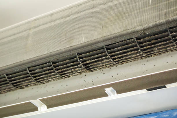 Professional Airduct Cleaning in DE